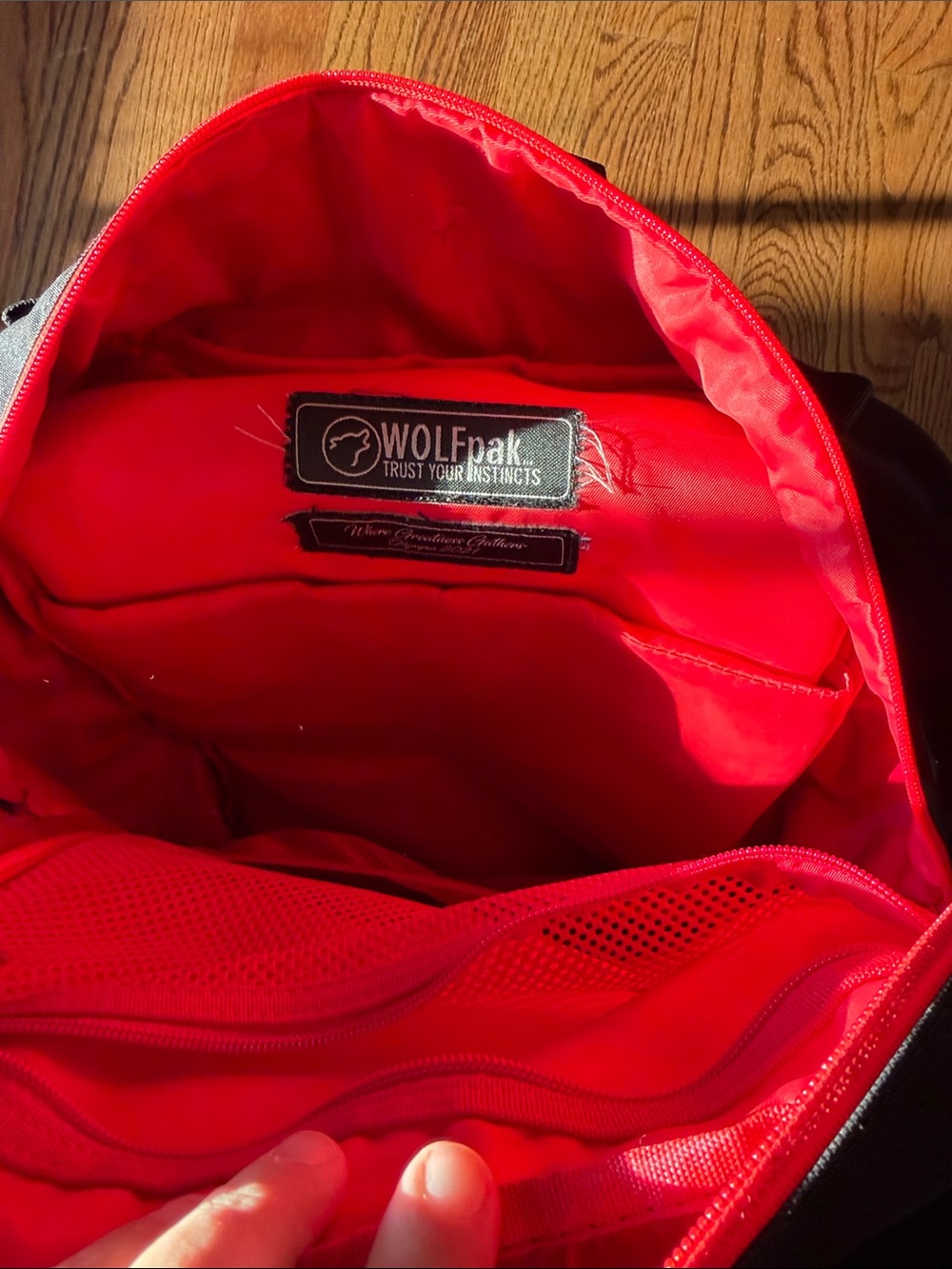WOLF Black and Red Tactical Backpack with IFBB/Olympia Patches - Picture 2 of 6